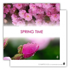 Postkarte | Spring Time
